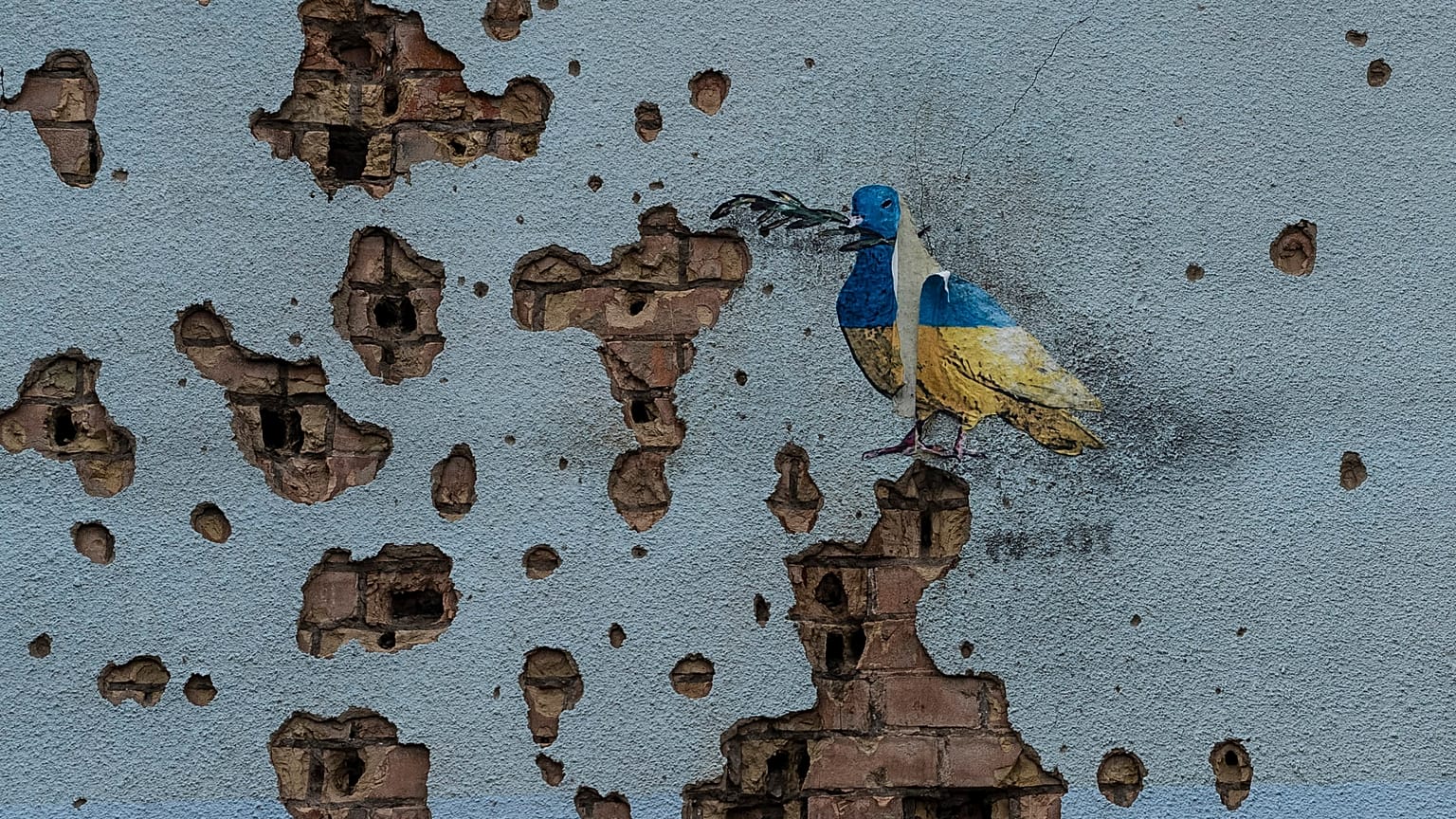 Una colomba con i colori della bandiera ucraina