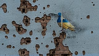 Una colomba con i colori della bandiera ucraina