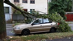 Ein wegen des Sturms umgestürzter Baum liegt auf einem PKW in der kroatischen Hauptstadt Zagreb