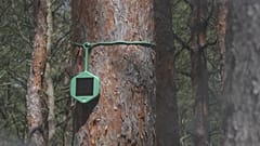 Sensors that can sniff out a wildfire minutes after it starts are being trialled in Brandenburg, the German region most hit by forest fires. 