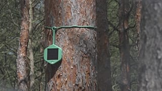 Sensors that can sniff out a wildfire minutes after it starts are being trialled in Brandenburg, the German region most hit by forest fires. 