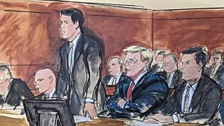 Donald Trump al centro della storia. 