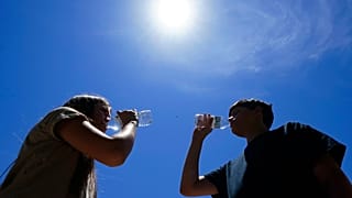 A Europa tem sido assolada por temperaturas extremas este verão.