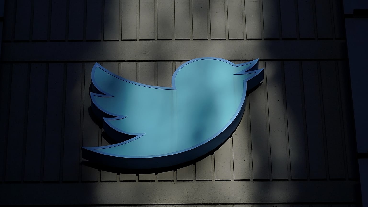 A Twitter által értékesnek tartott logótól válik meg Musk
