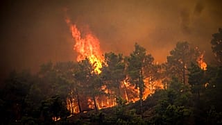 Flames rise during a forest fire on the island of Rhodes, Greece