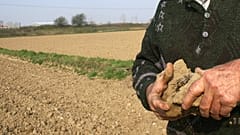 Landwirte und Erzeuger auf der Insel Kos stehen aufgrund des Klimawandels vor Schwierigkeiten.