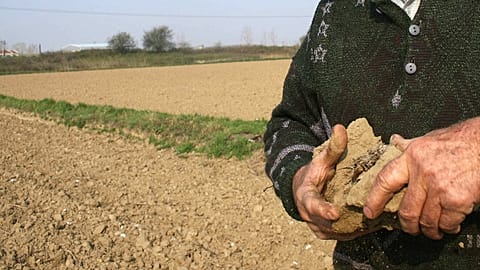 Farmers and producers on the island of Kos face difficulties due to climate change.