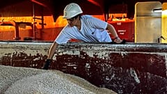 EE. UU. exige a Rusia que deje de atacar los puertos Ucranianos y que retome el pacto para las exportaciones de cereal.