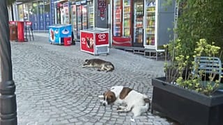 Pristinai utcakép, 2023. július 23-án 