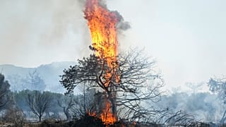 حرائق الغابات في جزيرة رودس، جنوب شرق اليونان.