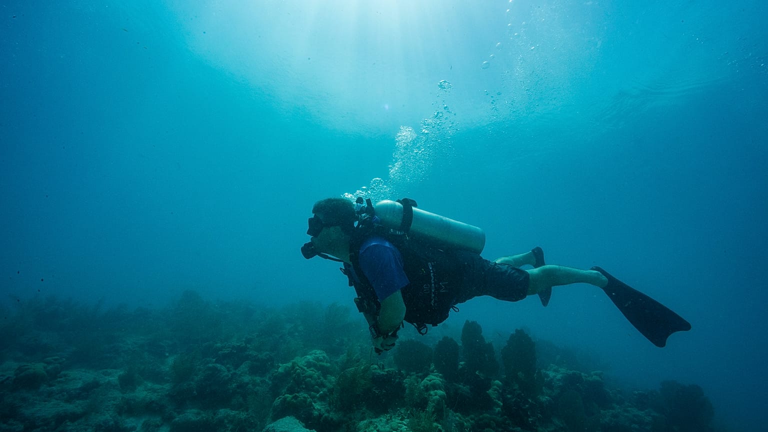 Wounded ex-soldiers are helping to restore a coral reef in Key West, Florida, USA.