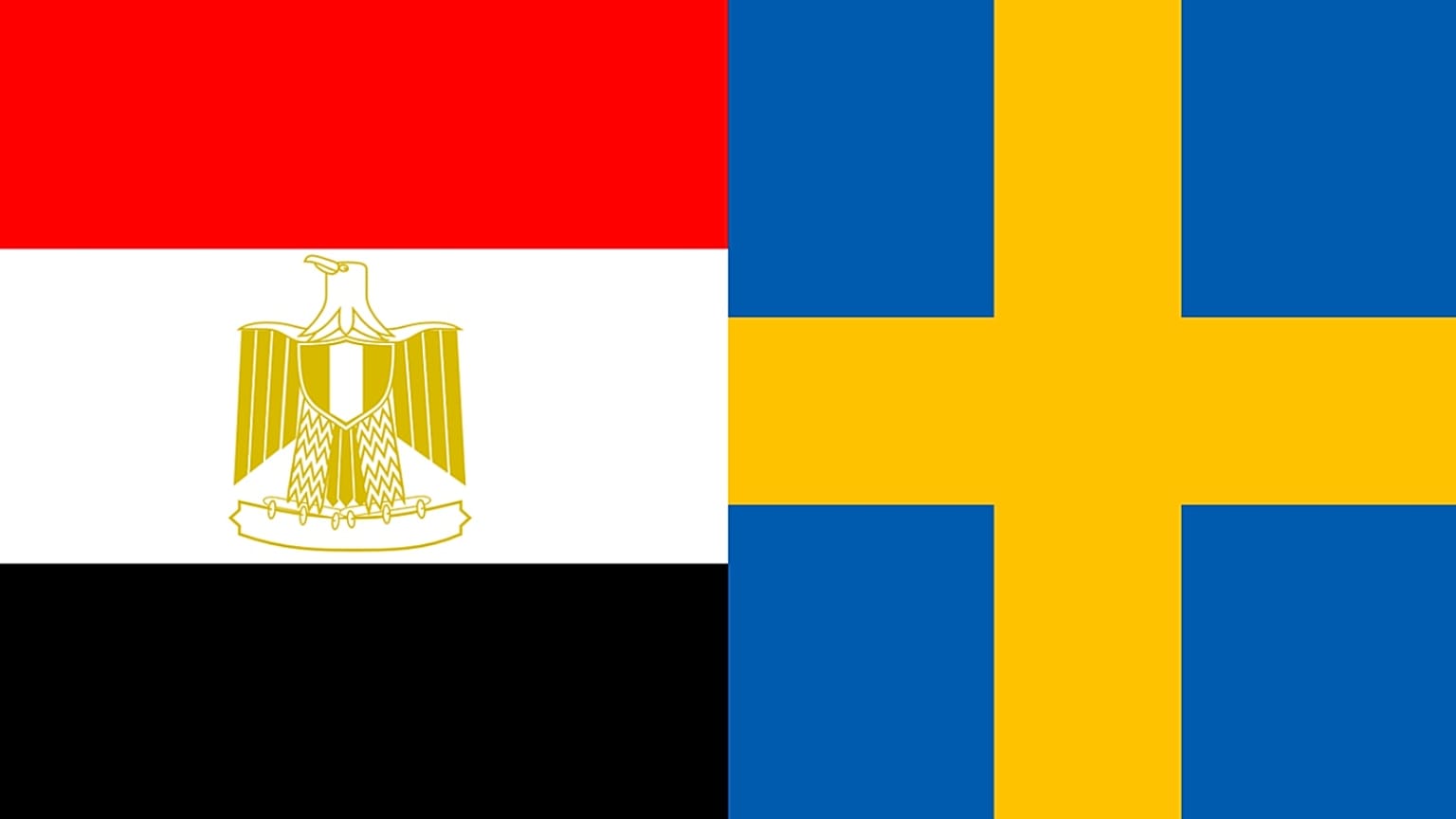دعت السلطات المصرية  بضرورة اتخاذ السلطات السويدية، وغيرها من الدول التي شهدت حوادث مماثلة، "الإجراءات الكفيلة بمنع تكرارها". 