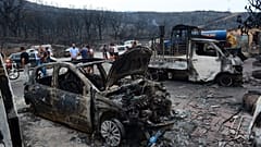 Последствия природного пожара в районе Буиры на севере Алжира