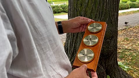 An activist recording the temperature under a tree in Rzeszów.