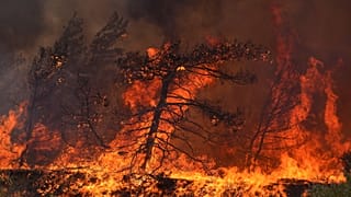 Las llamas queman un bosque en el pueblo de Vati, en la isla de Rodas, el 25 de julio de 2023.
