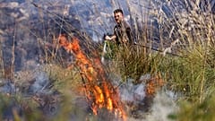 A member of anti-forest fire team puts out flames burning in Capaci, near Palermo, in Sicily, southern Italy.