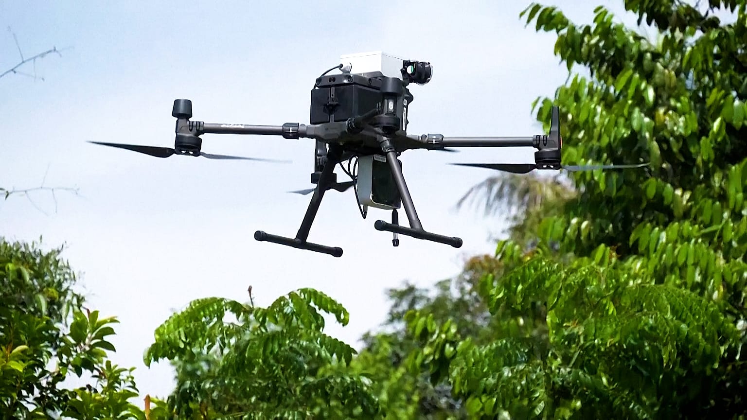 Image shows a drone developed by researchers at ETH Zurich to monitor biodiversity in the rainforest.