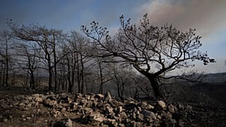 Πυρκαγιές στην Ελλάδα