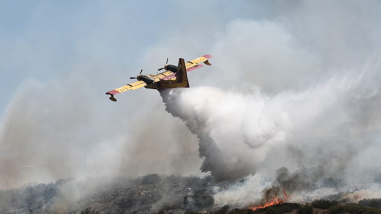 Le cicatrici degli incendi in Grecia e Algeria