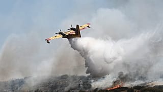 Le cicatrici degli incendi in Grecia e Algeria