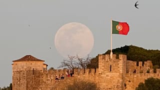 He aquí por qué Portugal es nuestro País Verde del Mes.