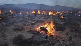 حرائق الغابات في العالم 