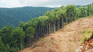 Humanity has consumed Earth's annual resource budget by 1 August. 