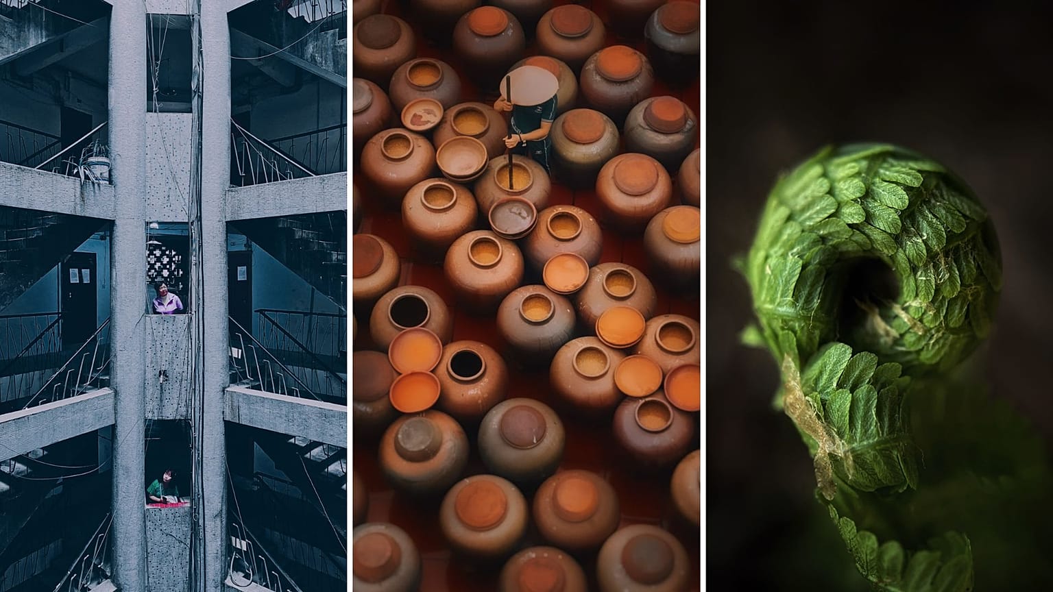 The winners have been announced for the iPhone Photography Awards 2023