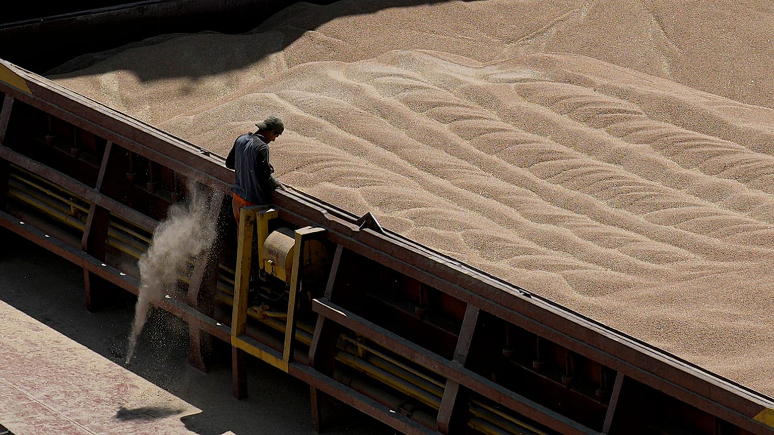 Il grano ucraino