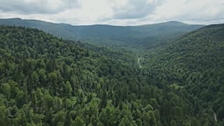 extract video