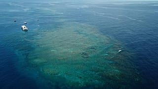 A section of the Great Barrier Reef above Moore Reef in Gunggandji Sea Country off coast of Queensland in eastern Australia.