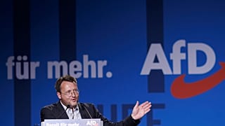 AfD parti kongresi Magde burg kentinde yapıldı