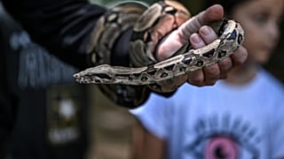 تقدم مؤسسة "فيفاريوم فاونديشن" غير الحكومية محاضرات تثقيفية