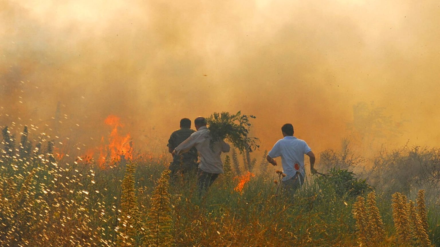 Nesta fotografia de julho de 2009, voluntários correm enquanto trabalham para apagar um incêndio florestal perto de Nuoro, no centro da Sardenha.