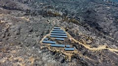 Vista aérea de paneles solares entre árboles carbonizados, mientras arde un incendio forestal en la isla de Rodas, Grecia.
