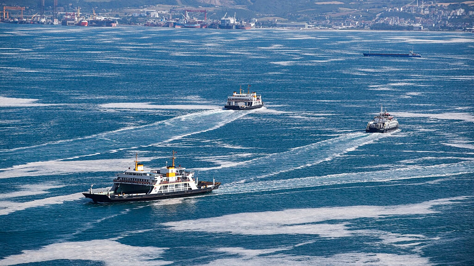 Kocaeli sahili deniz manzarası (arşiv)