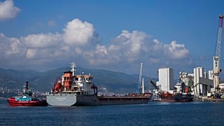 Der Hafen von Derince in der Türkei - Archivbild