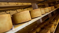 Ein Mann starb, nachdem er letzte Woche in Italien von Tausenden von Käselaiben erschlagen wurde.