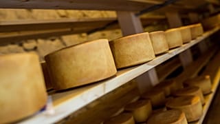 A man died after being crashed by thousands of cheese wheel in Italy last week.