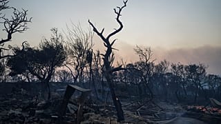 Καμμένη έκταση μετά τις φωτιές στη Μάνδρα Αττικής