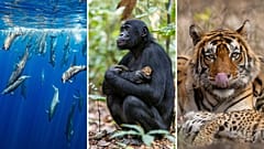 Gewinner des Natur inFokus-Fotopreises 2023