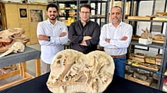 عالم الأحافير المصري في الجامعة الأميركية في مصر 