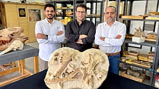 عالم الأحافير المصري في الجامعة الأميركية في مصر 