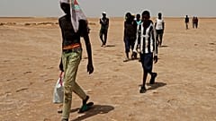 Des migrants d'origine africaine qui auraient été abandonnés par les autorités tunisiennes, marchent dans la chaleur à la frontière libyo-tunisienne, le 30 juillet 2023.