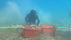 Archäologen suchen auf dem Grund des See nach Antworten.