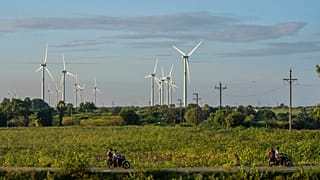 Hindistan temiz enerji ve ormanları koruyarak 14 senede karbon salımını yüzde 33 azalttı