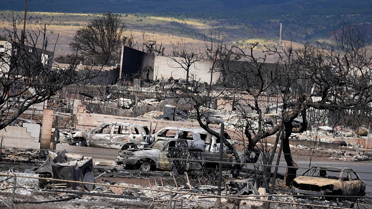 Hawaii'deki orman yangınlarında ölenlerin sayısı 93'e çıktı