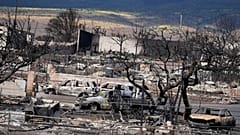 Hawaii'deki orman yangınlarında ölenlerin sayısı 93'e çıktı