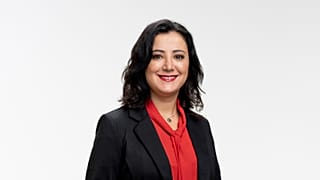 A német parlament hivatalos sajtófotója a baloldali képviselőnőről