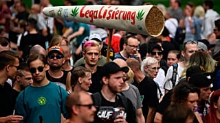 Германия решает судьбу каннабиса: сколько кустов можно выращивать и сколько граммов хранить